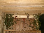 Bild 2 von 4